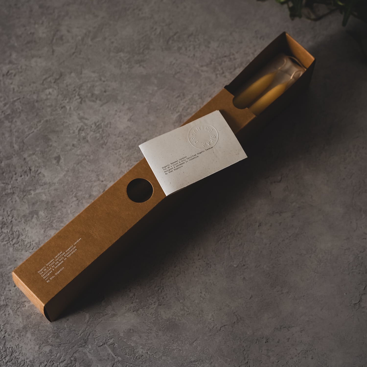 Organic Beeswax Dinner / Taper Candle [Box]