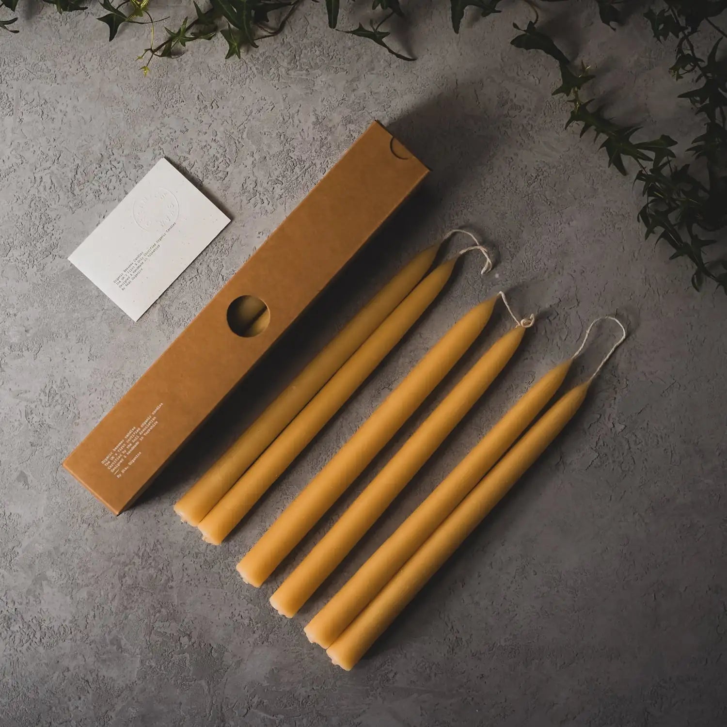 Organic Beeswax Dinner / Taper Candle [Box]